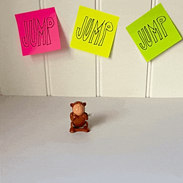 Wind-up jumping animal toy - Monkey